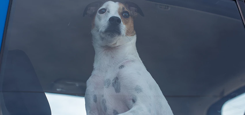 Car Lockout Solutions in Yorba Linda, California